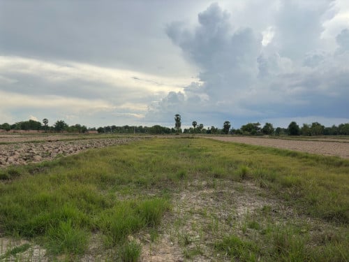 ជួយទិញផងបងៗ ។ លក់12000$ ដាច់ ។ សូមកាត់ប្លង់ខ្លួនឯង