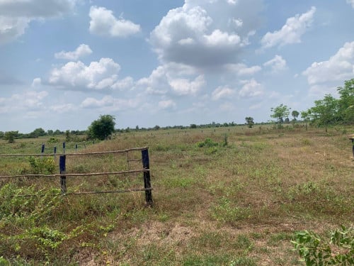 ដីភូមិ សម្រាប់លក់ សៀមរាប, ត្រីញ័រ, ពួក, សៀមរាប (ម្ចាស់ផ្ទាល់)070249983