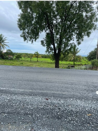 ដីលក់ជាប់ផ្លូវជាតិ៣ ក្បាល45m កំពតទៅព្រះសីហនុ