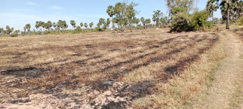 🏦Land for Urgent sale (Negotiable), ABA Loan Available.