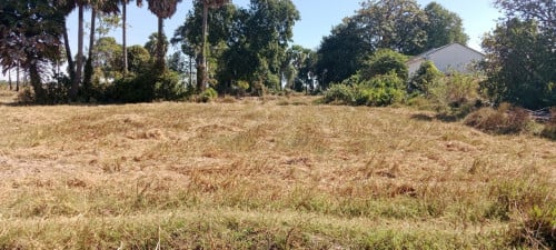 🏦Agricultural Land Urgent Sale (Negotiable), ABA Loan Available