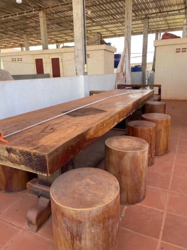 តុបាយលក់ ប្រភេទឈើឆ្កុល ព្រៃ 500