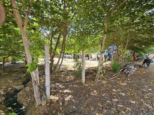 ដីលក់ក្នុងក្រុងកំពតជាប់និងបឹងហ្គាឡូour family និងចុះពីផ្លូវជាតិ33