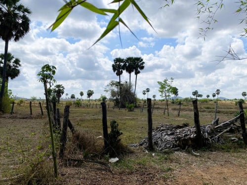 🏦Land Available for Urgent Sale at a Special Price (Negotiable).
