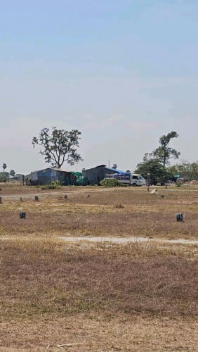 ដីលក់ក្រោមទីផ្សារ