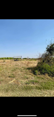 ដីចម្កា លក់បន្ទាន់ខ្លាំងមានប្លង់រឹង 2ហត្ថតា 5ម៉ឺន