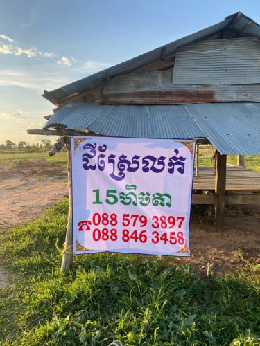 ដីស្រែលក់ 3800$/ហិចតា