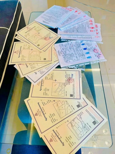 សេវាកាត់ប្លង់