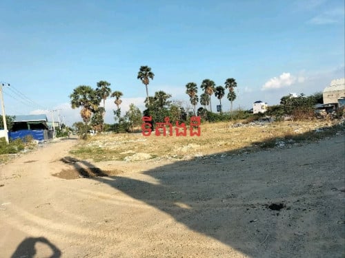 ដីឃ្លាំងកៀកផ្លូវមុនីរេត217 ដង្កោ ភព