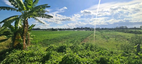 ដីក្រុងសំពៅពូន ត្រើយខាងកើតជាប់ទន្លេ 20ម×100ម