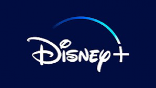 Disney plus 1year + VPN