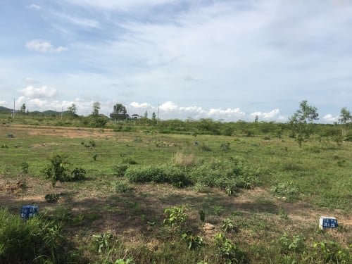 ដីលក់​ (5m x 20m) ប្លង់រឹង