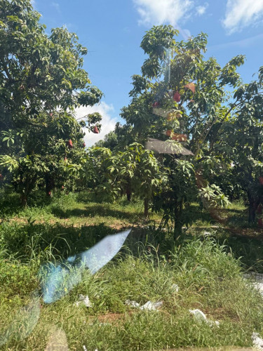 Land for sale