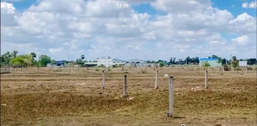 ដីលក់ឡៃឡុងប្លង់រឹង