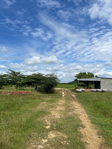 📞 0968454467/0962320168 ម្ចាស់ផ្ទាល់