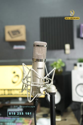 Warm Audio WA-47jr Large-Diaphragm FET Condenser Microphone (Nickel)