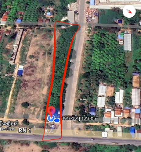 ចំការស្វាយលក់​ នៅផ្លូវជាតិលេខ​