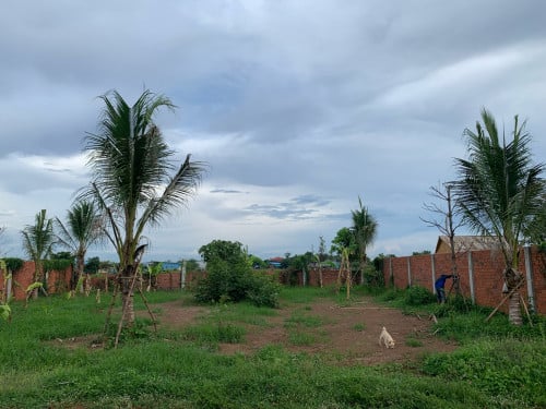 ដីស្អាត​ មានរបង