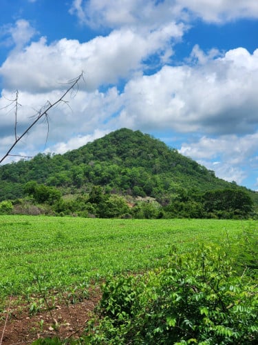 ដីទំហំ 24000ម២ ជាប់អូរ ជិតភ្នំ នៅផ្លូវកែង អាចធ្វើ Resort បាន