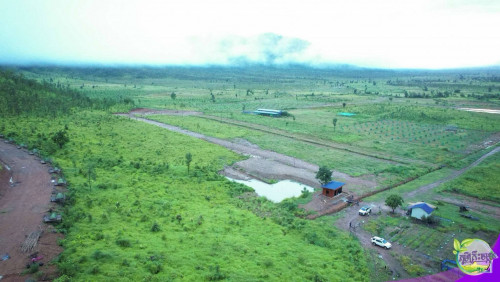 2500$ដាច់ លក់បន្ទាន់ ប្លង់រឹង