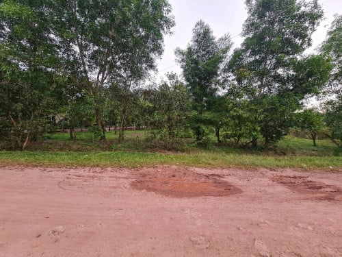 ដីក្រុងបូកគោ លក់បន្ទាន់