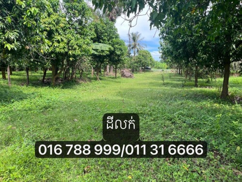 ដីស្អាតជាប់មាត់ទន្លេ ល្អសម្រាប់សង់ផ្ទះលំហែ 16m x 85m  (ប្លង់រឹង)