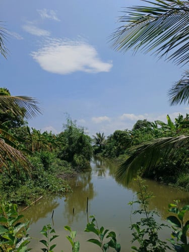 ដីចំការលក់មានដំណាំប្រមូលផលបាន