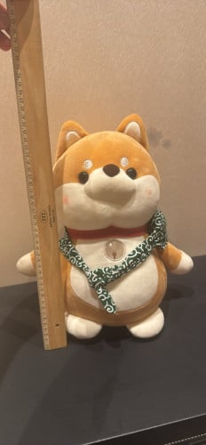 Shiba Inu