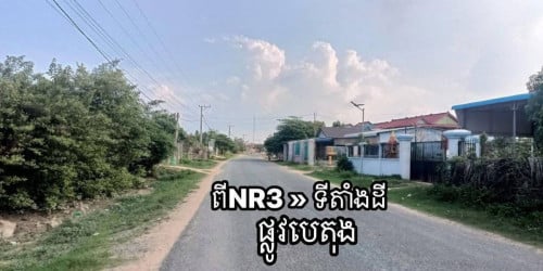 ដីដាក់លក់ទាំងបង្ខំ (បាទី)