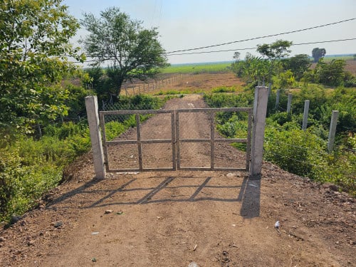 ដីលក់ ជាប់ផ្លូវជាតិលេខ១ Land Sale