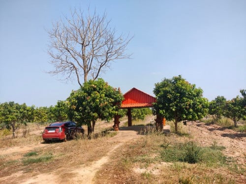 🏦Land for Urgent sale (Negotiable), ABA Loan Available