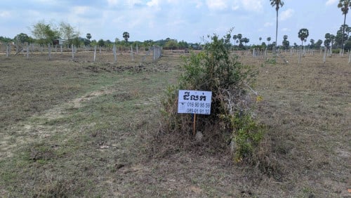 ដីលក់បន្ទាន់កុនលុយខ្លាំង