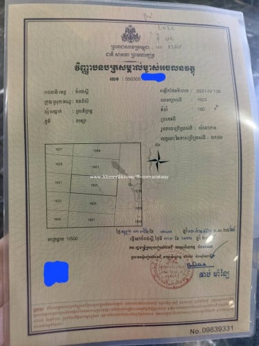 ដីលក់ ម្ចាស់ផ្ទាល់ កាត់ប្លង់រឹងជូន