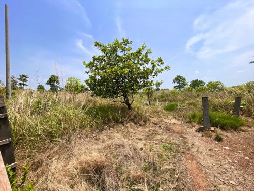 🏦Land Available for Urgent Sale at a Special Price (Negotiable).