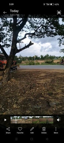 ដីលក់ជាប់ផ្លូវជាតិលេខ៣១ គីឡូមែត្រលេខ៥ ផ្លូវជាតិទំហំ50មែត្រ