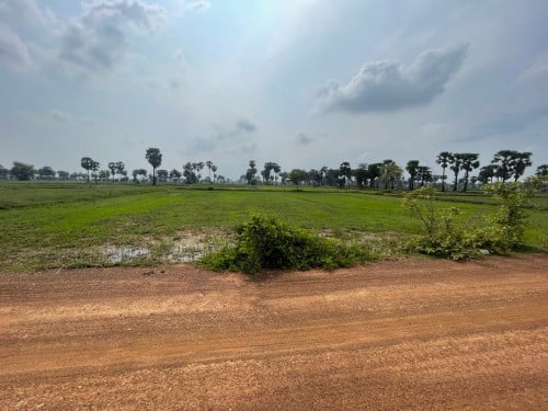 ដីលក់ប្រញាប់នៅកំពង់ស្ពឺ