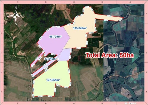 ដីចំការលក់បន្ទាន់ 51ហិចតា