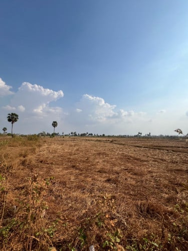 ដីលក់ នៅក្បែររោងចក្រ