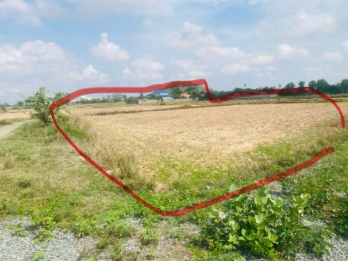 ដីស្អាត លក់បន្ទាន់