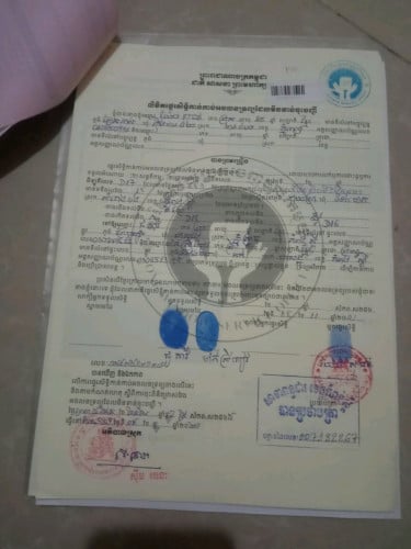 លក់ប្រញាប់ ជាប់ផ្លូវ60ម