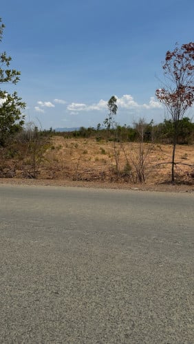 ដី​ជាប់​ផ្លូវ​កៅស៊ូ​ 24*100 ជាង​