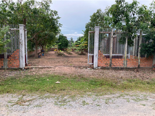 ប្លង់រឹង ម្ចាស់ដើម