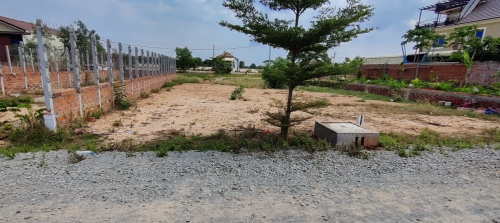 ប្លង់រឹង លក់ខាត