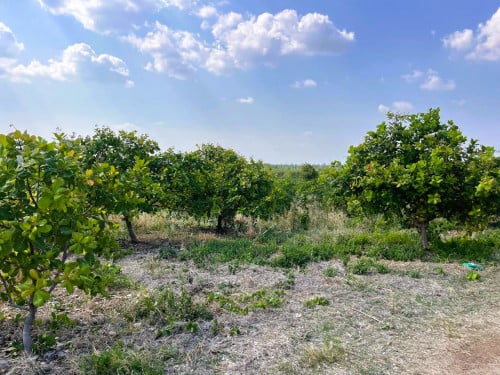 🏦Land for Urgent sale (Negotiable), ABA Loan Available