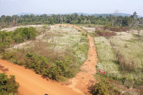 ដីជាប់មាត់ស្ទឹងអារ៉ែង