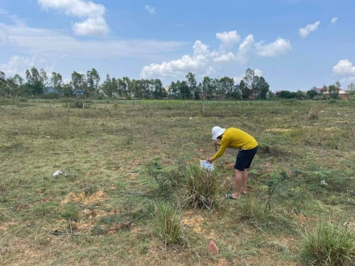 នៅក្បែររង្វង់មូលទូក