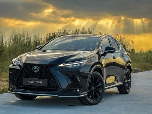 NX 350 F sport 2025