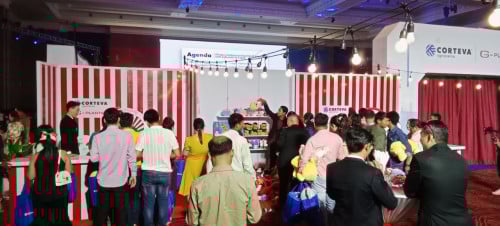 អំពូលខ្សែរគោ