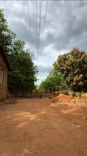 ក្បាល​ 100ម​ ជំរៅ60ម​ ជាប់ផ្លូវ​ 30ម ម្ចាស់ដេីម