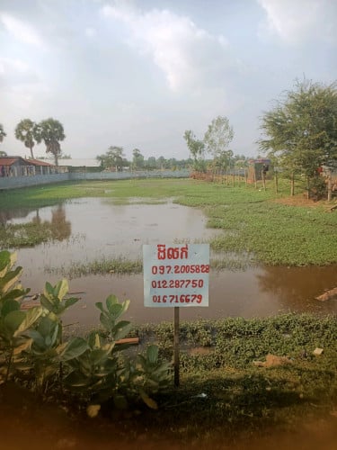 ដីលក់ ប្រញ៉ាប់ ( 26,50 X 60 )